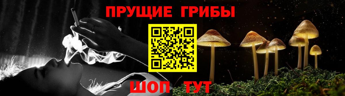 Чебоксары  Псилоцибиновые грибы Magic Shrooms  Вход с VPN  Галлюциногенные грибы прущие грибы 